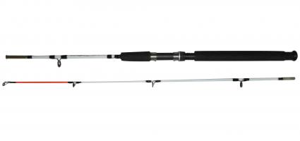 Спиннинг Crocodile (Chengxu) тест 100-250G 1.8М штекерный белый